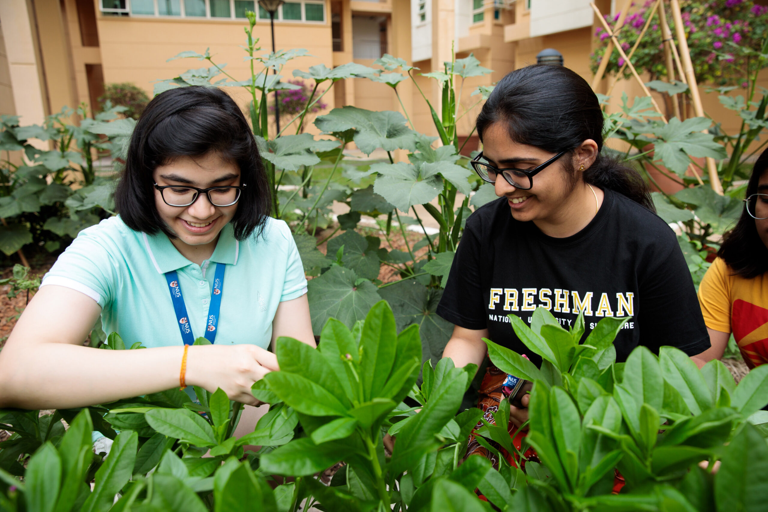 How we relate with Sustainable Living?